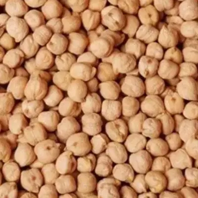 نخود|خوردنی و آشامیدنی|چرداول, |دیوار