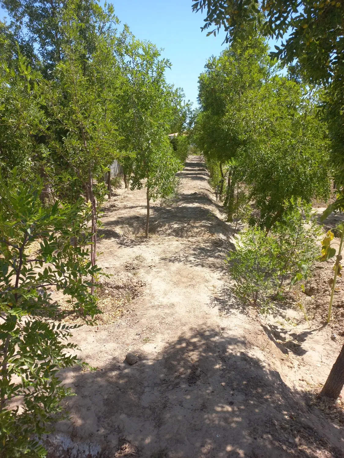 تصویر 6
