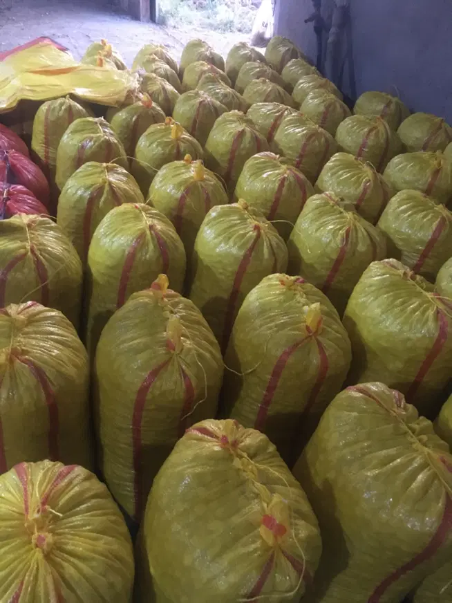 سیر|حراج|شیراز, عفیفآباد|دیوار