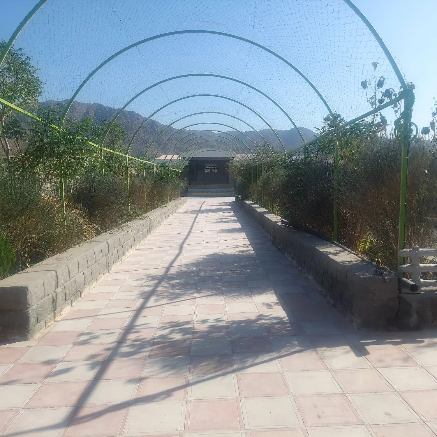 تصویر 10