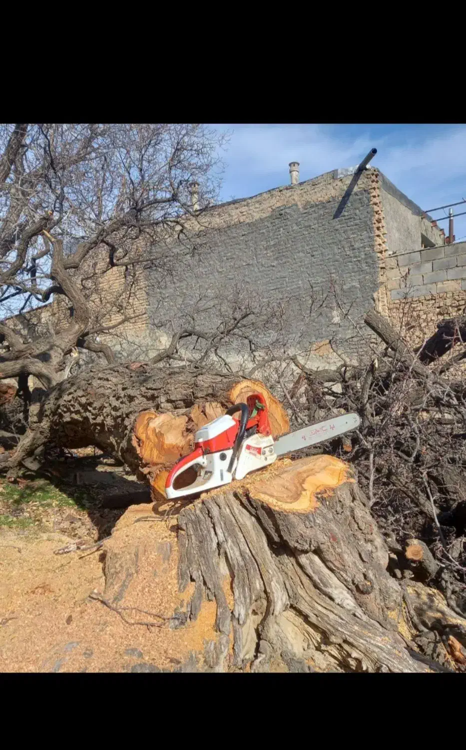 خرید چوب|خدمات باغبانی و درختکاری|نهاوند, |دیوار