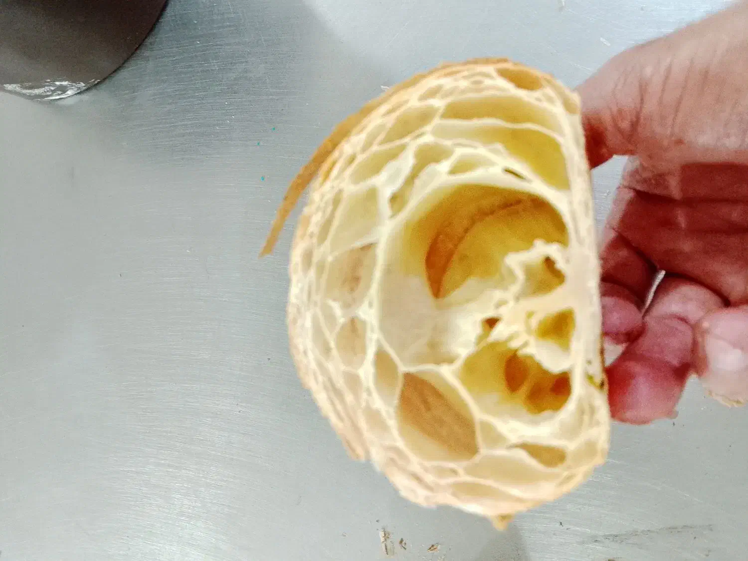 بیکری و شاطر نان فانتزی جویای کار|استخدام خدمات فروشگاه و رستوران|بابلسر, |دیوار