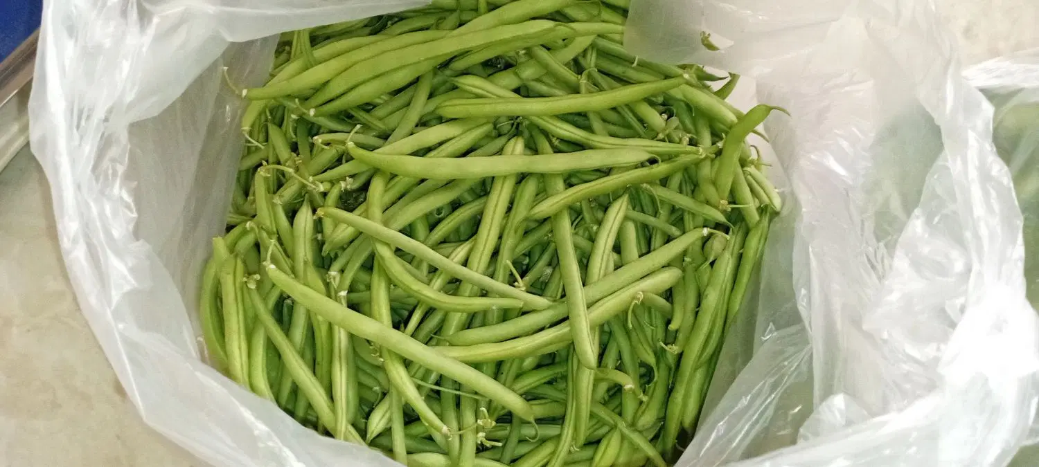 لوبیا|خوردنی و آشامیدنی|سنندج, |دیوار