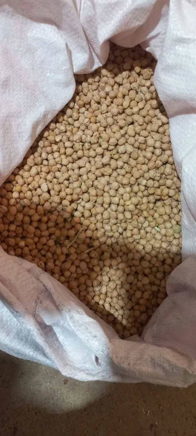 نخود درجه یک|عمدهفروشی|سلطانیه, |دیوار