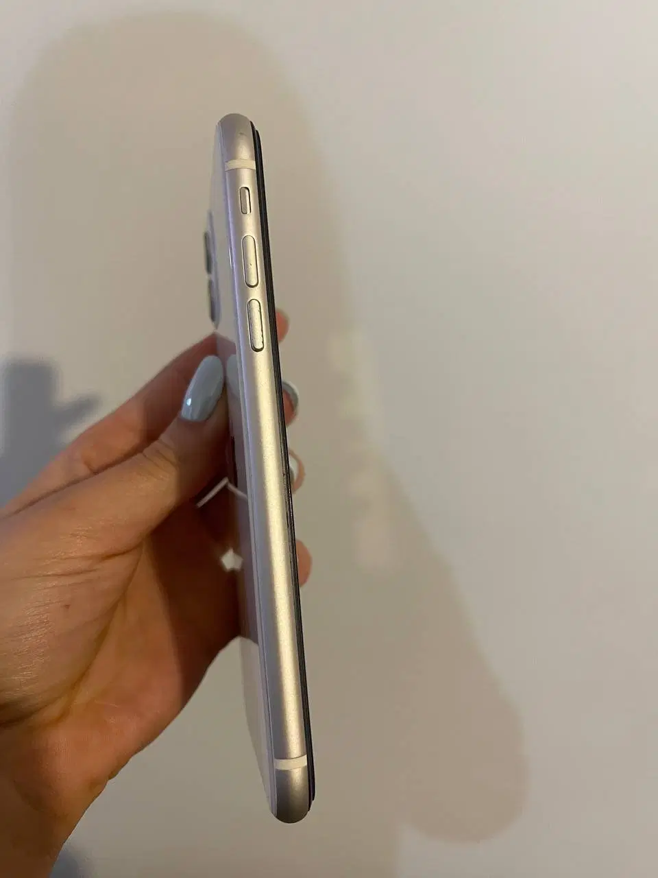 Iphone 11|موبایل|تهران, درختی|دیوار