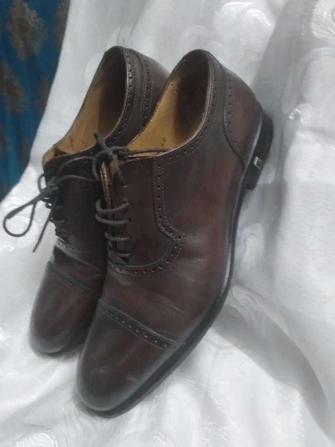 کفش مجلسی|کیف، کفش، کمربند|تهران, فلاح|دیوار