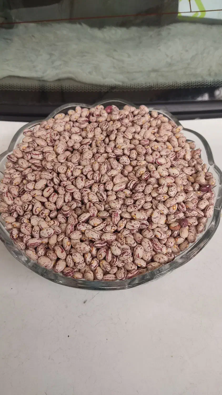 لوبیا چیتی|خوردنی و آشامیدنی|قره پشتلو, |دیوار