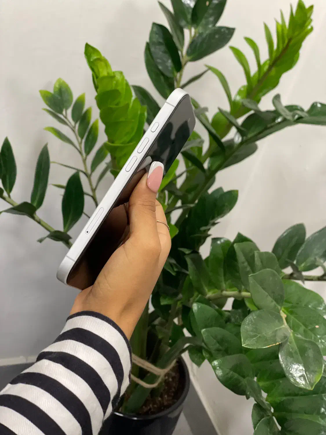 iPhone 17|موبایل|مشهد, احمدآباد|دیوار