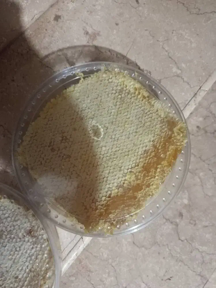 عسل مرغوب|خوردنی و آشامیدنی|پلدشت, |دیوار