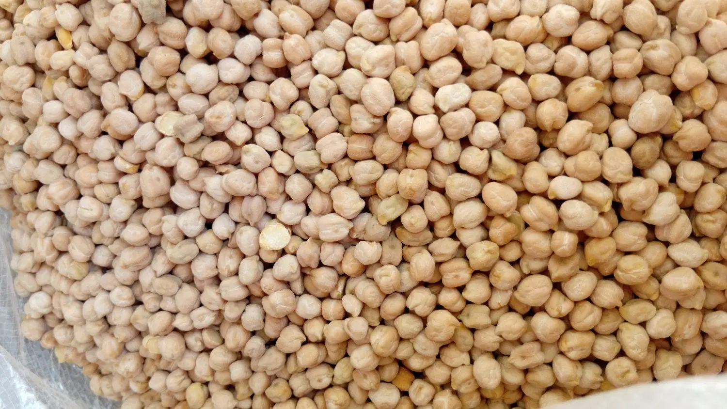نخود|خوردنی و آشامیدنی|دورود, |دیوار
