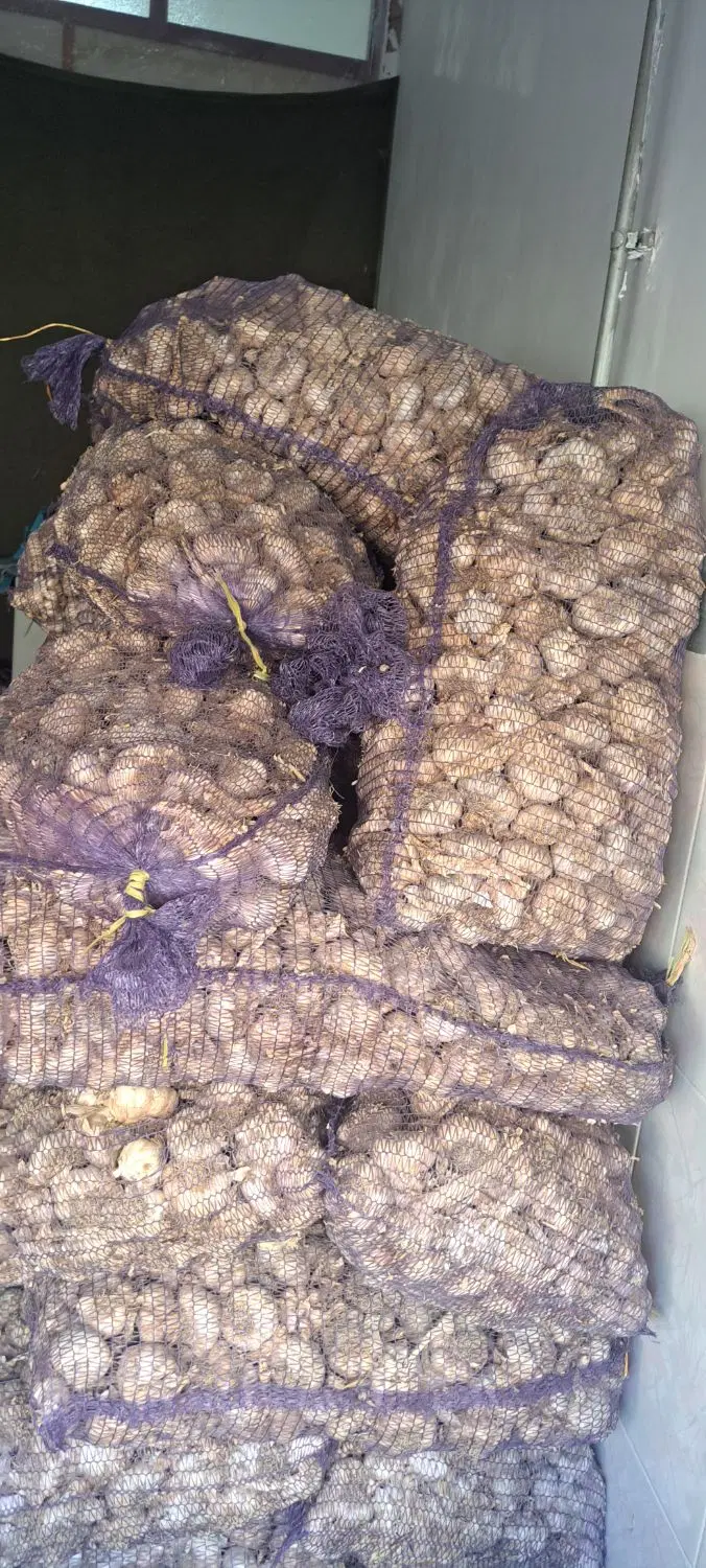سیر|خوردنی و آشامیدنی|پارس‌آباد, |دیوار