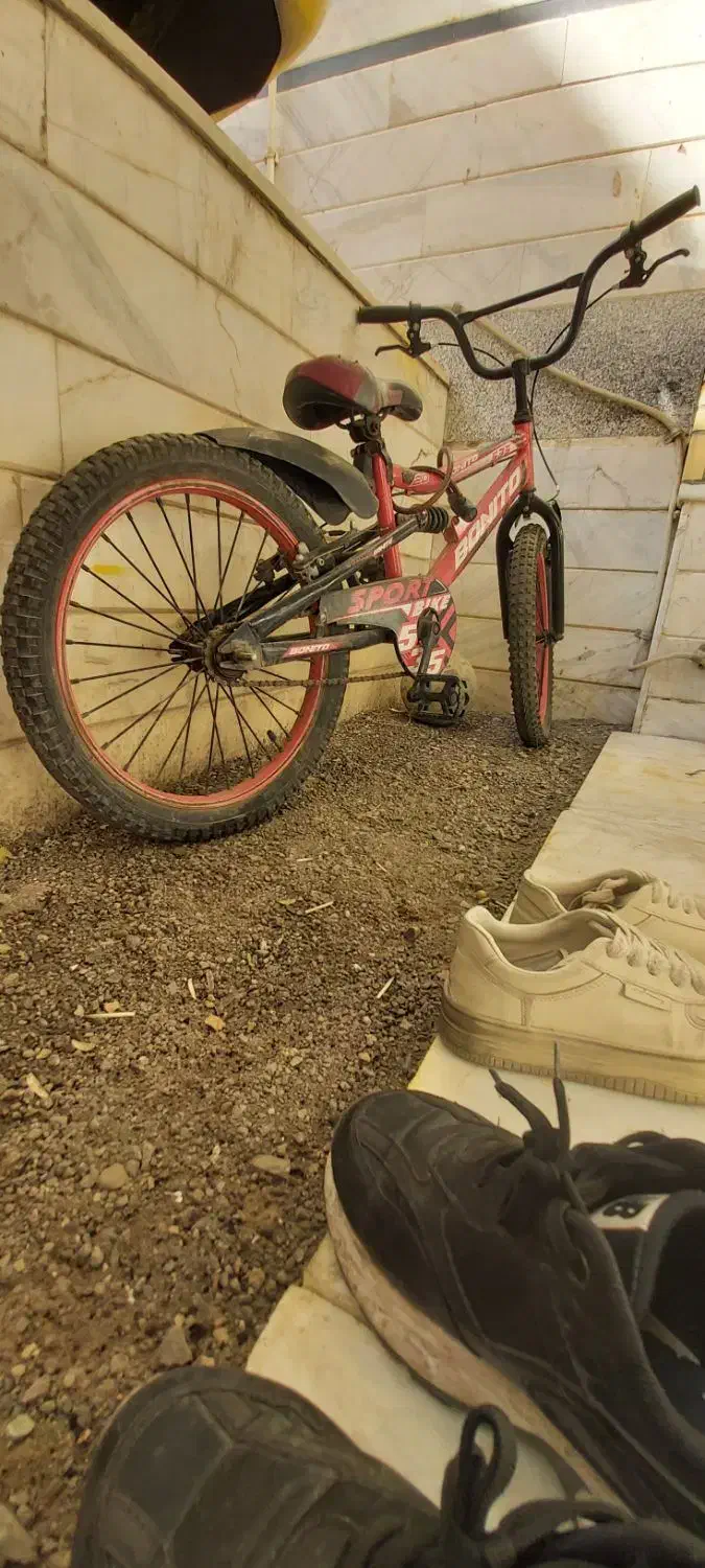 دوچرخه ۲۰|دوچرخه، اسکیت، اسکوتر|قم, چهل درخت‎|دیوار