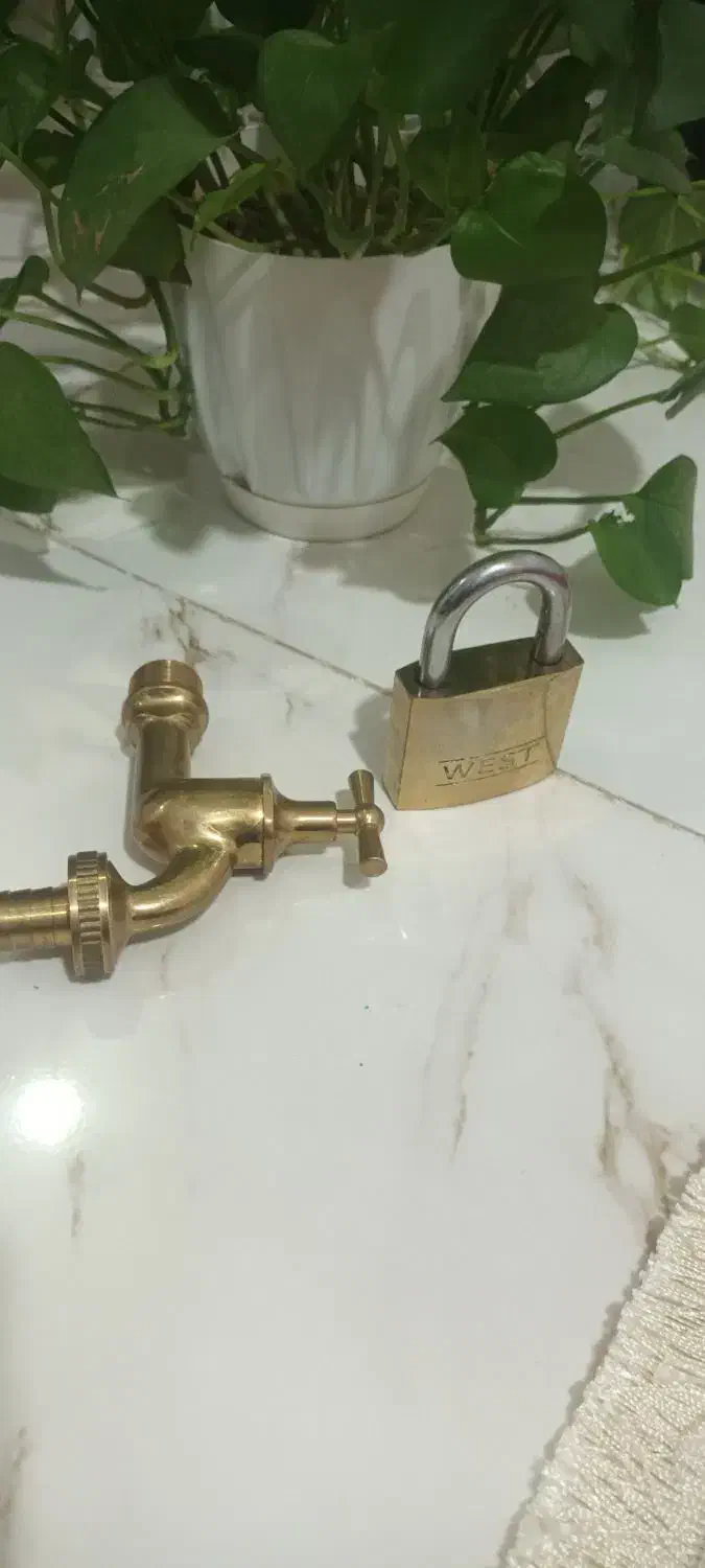 گل پتوس|گل و گیاه طبیعی|قزوین, |دیوار