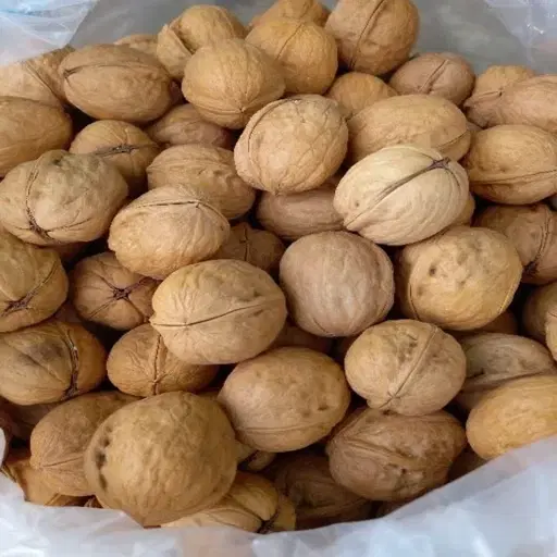 گردو|خوردنی و آشامیدنی|خمینی‌شهر, |دیوار