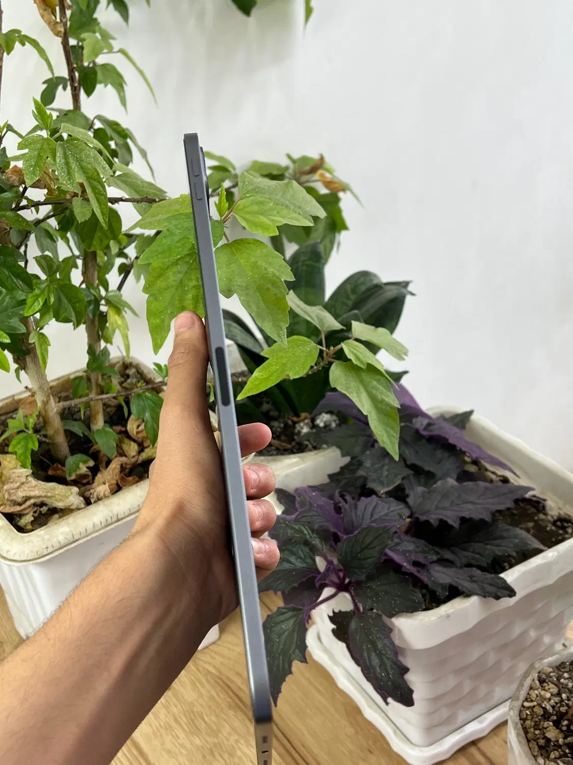 ipad pro 2021 m1|تبلت|ارومیه, |دیوار