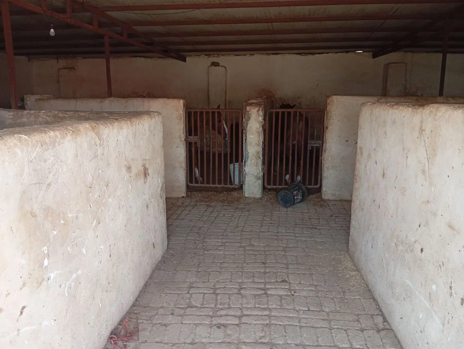 استبل اسب|اسب و تجهیزات اسب‌سواری|اصفهان, فرودگاه شهید بهشتی|دیوار