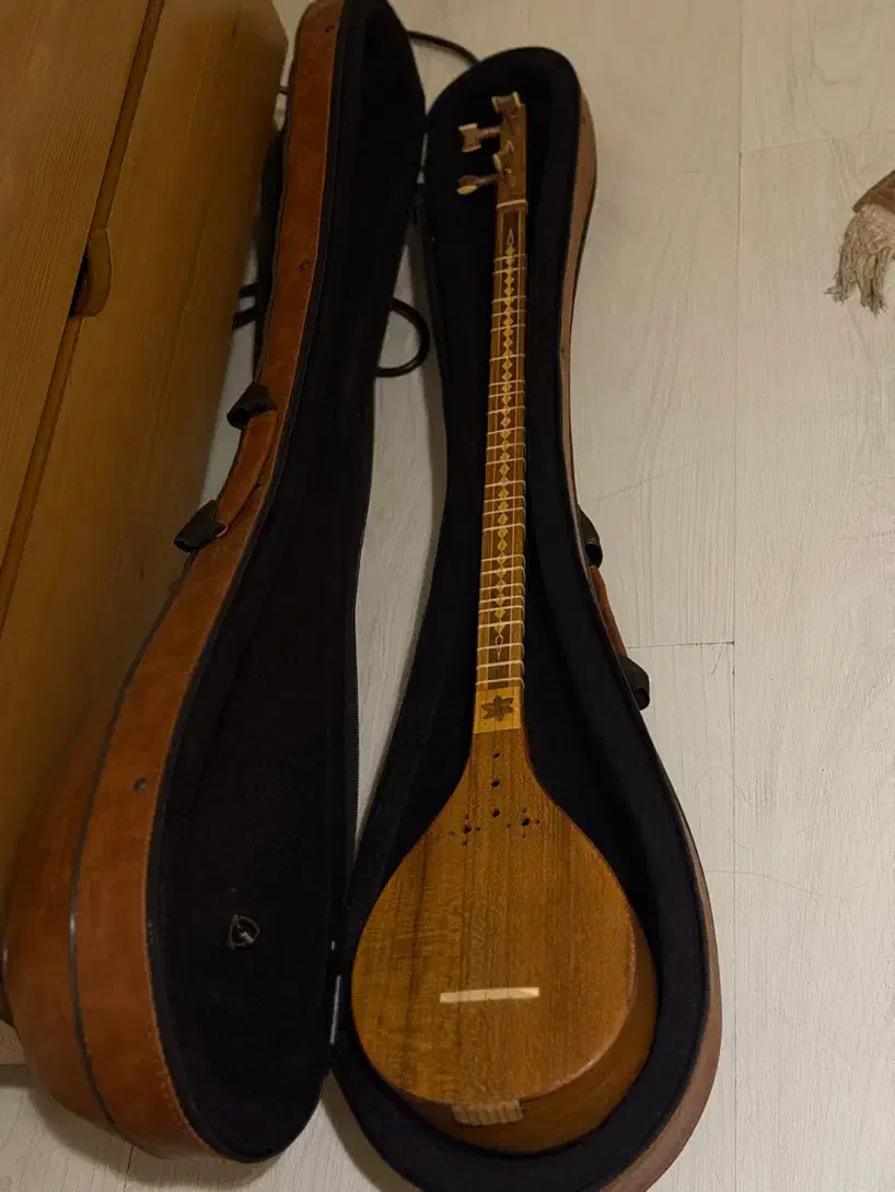 سه تار|سازهای سنتی|تهران, هفت حوض|دیوار