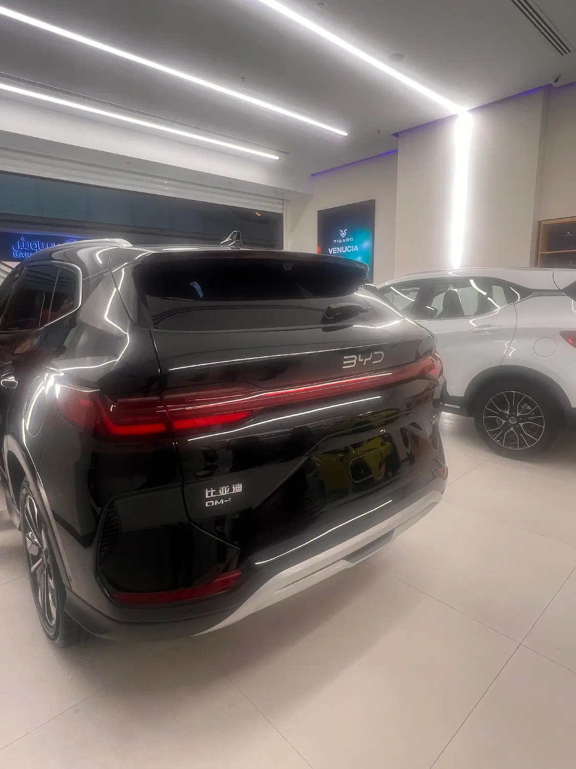 byd|خودرو سواری و وانت|تهران, هزارسنگ|دیوار