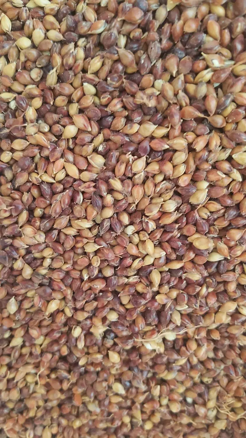 سنگک|خوردنی و آشامیدنی|مبارکه, |دیوار