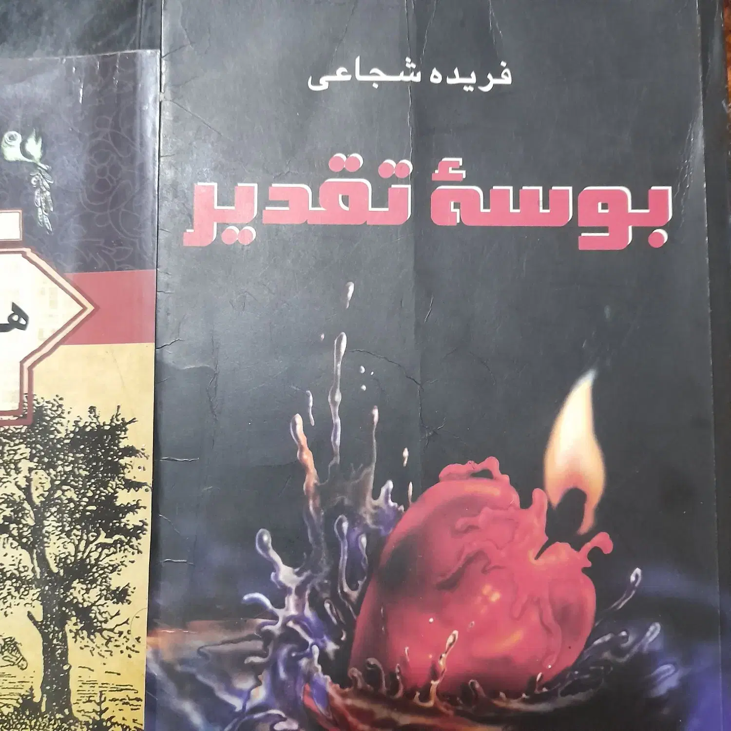 کتاب داستان|کتاب و مجله آموزشی|مشهد, شهید آوینی|دیوار