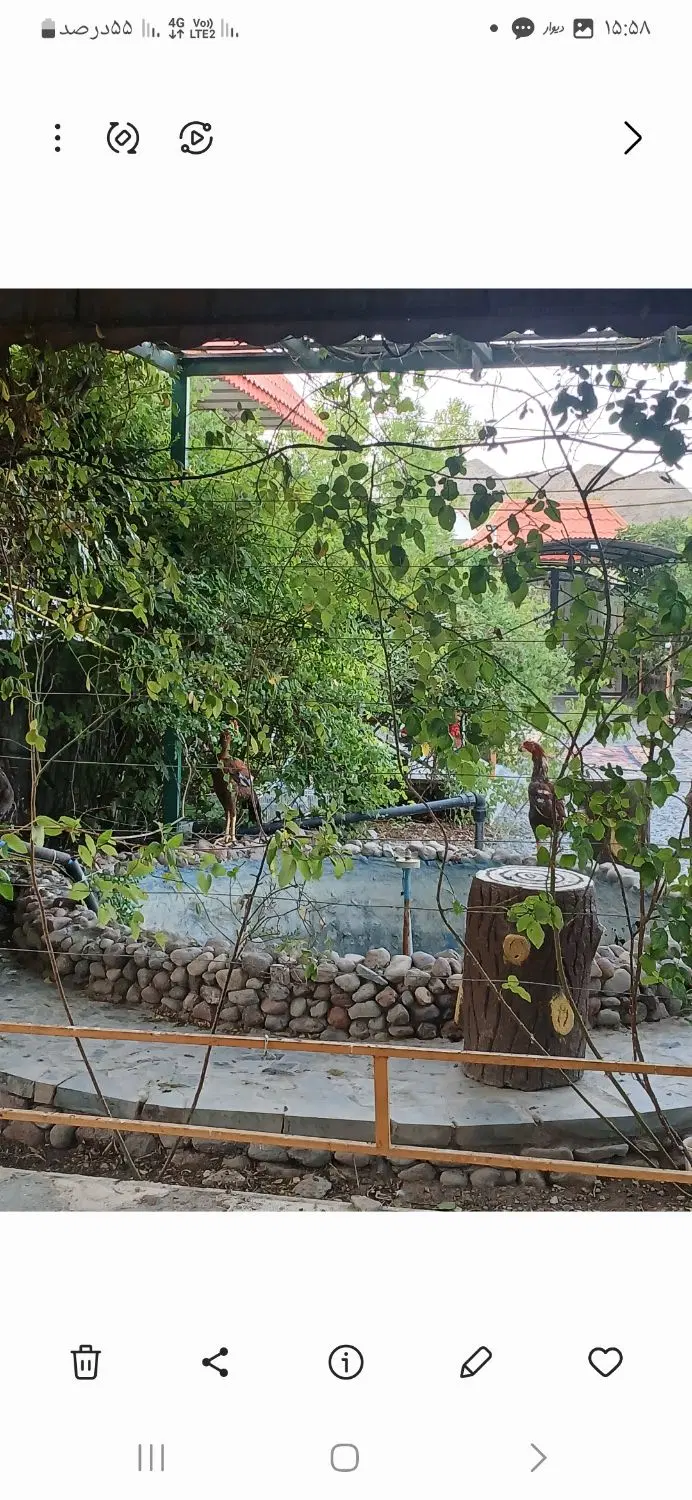 تصویر 3
