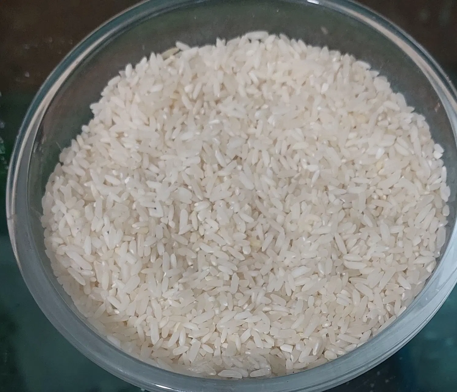 برنج|خوردنی و آشامیدنی|شاهرود, |دیوار