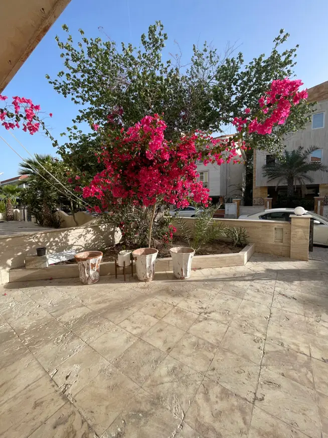 تصویر 3