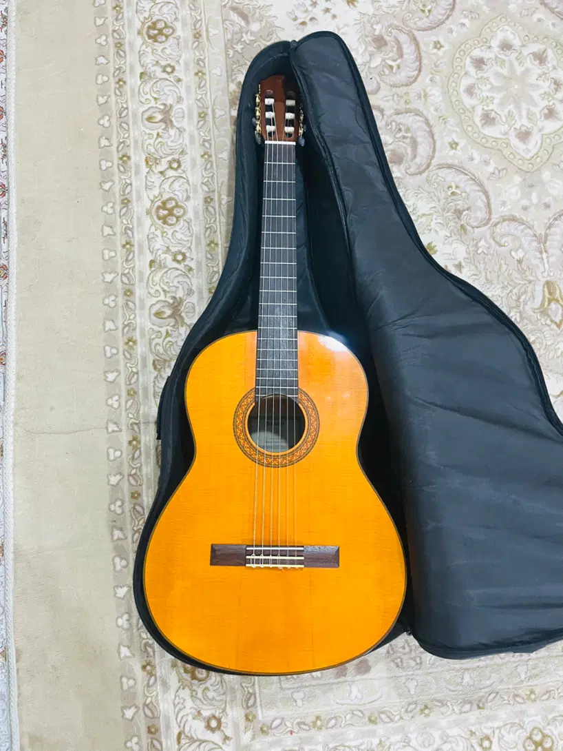 گیتار C70|گیتار، بیس، امپلیفایر|شیراز, زرهی|دیوار