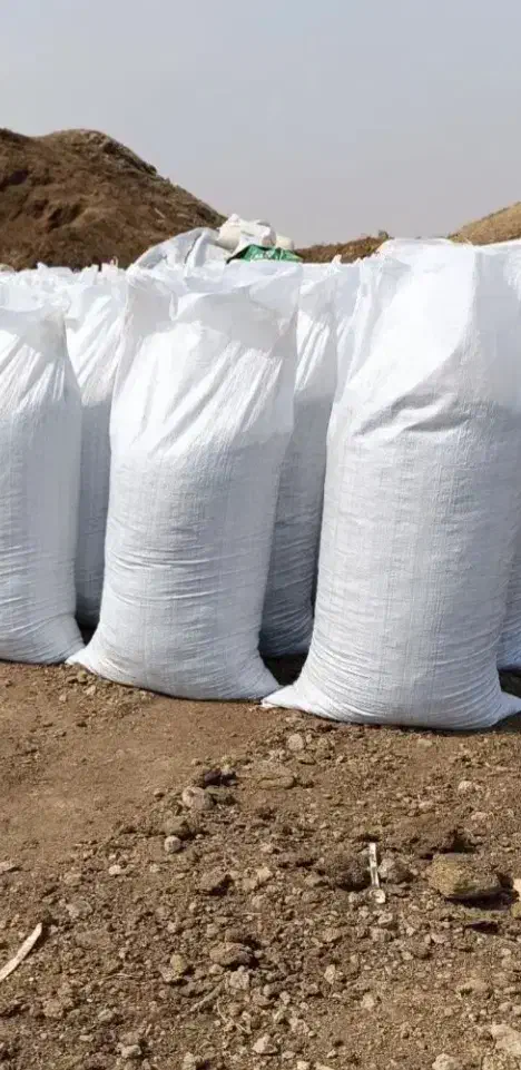 کود گاوی|خدمات باغبانی و درختکاری|قم, طلاب غیر ایرانی|دیوار