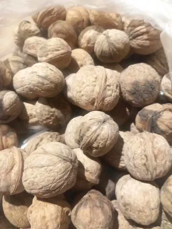 خشک بار|خوردنی و آشامیدنی|آبسرد, |دیوار