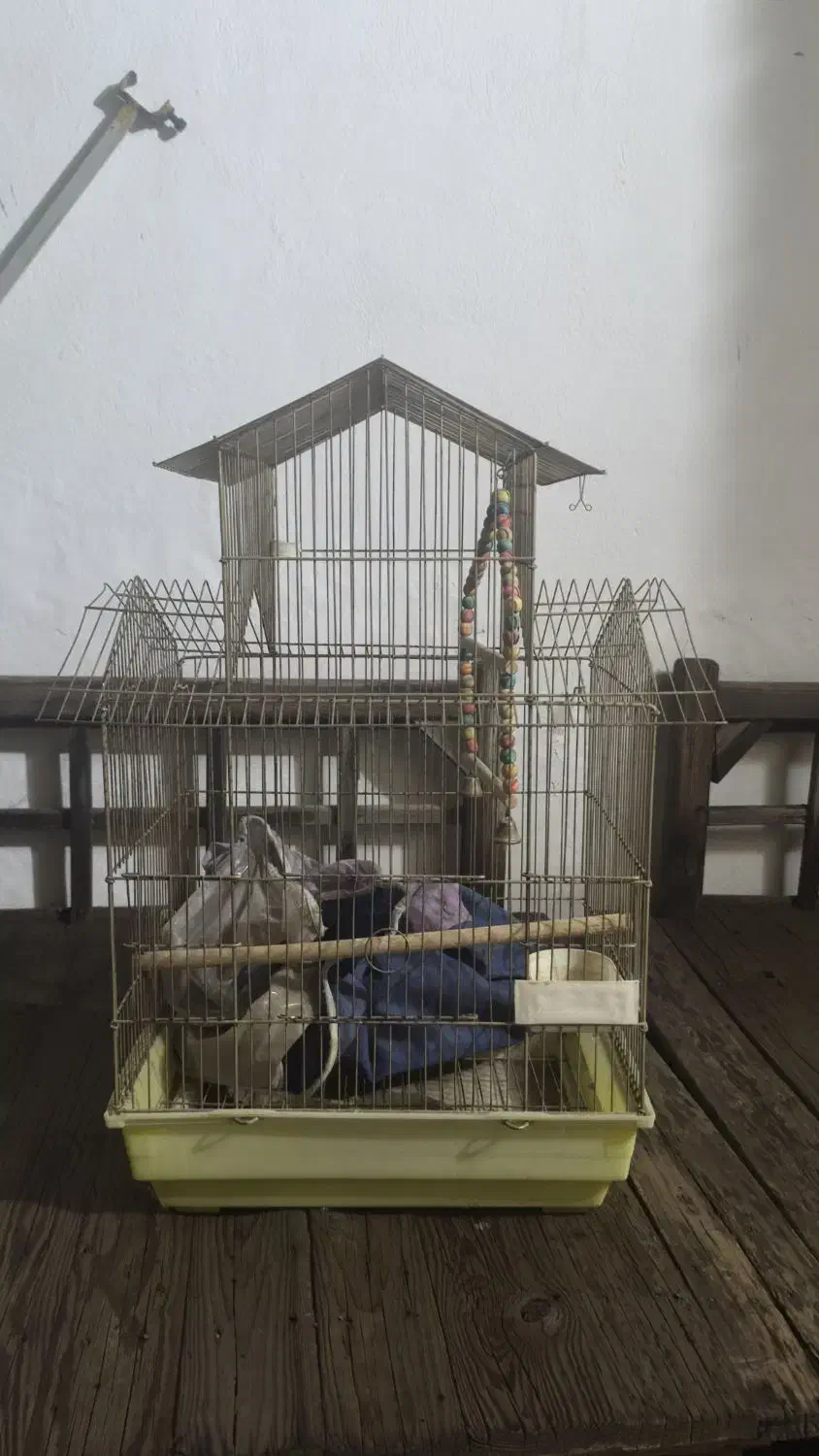 قفس|لوازم جانبی حیوانات|مشهد, ارشاد|دیوار