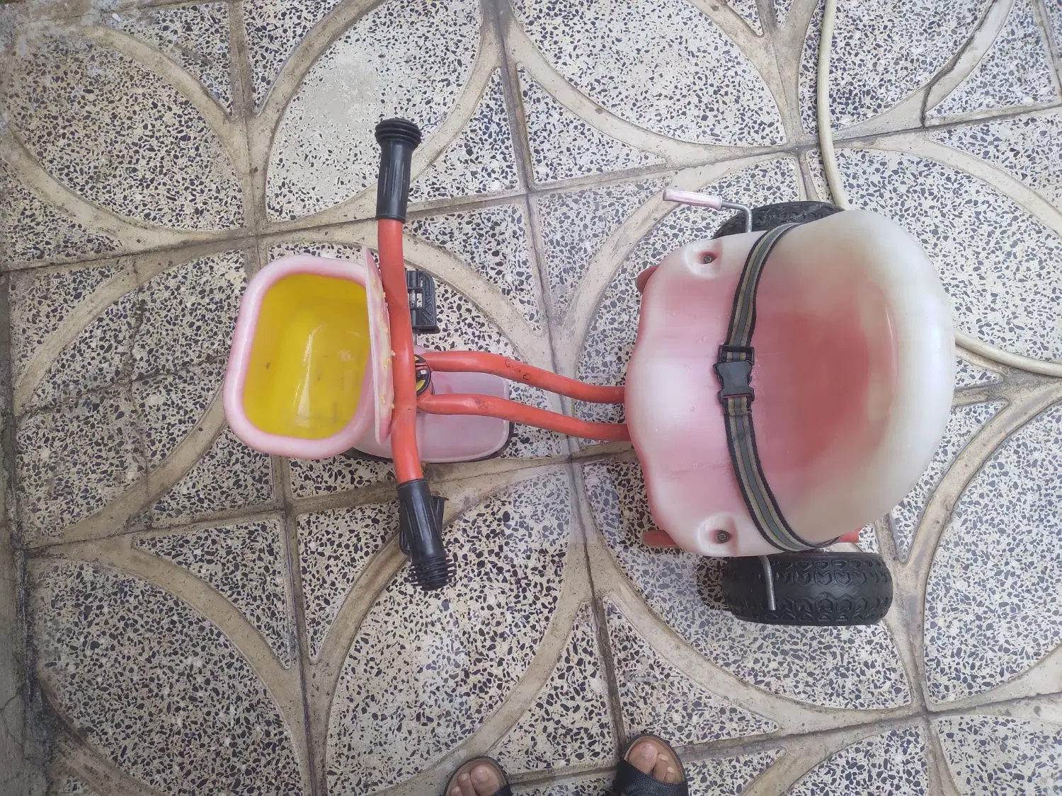 سه چرخه|دوچرخه، اسکیت، اسکوتر|کنگاور, |دیوار