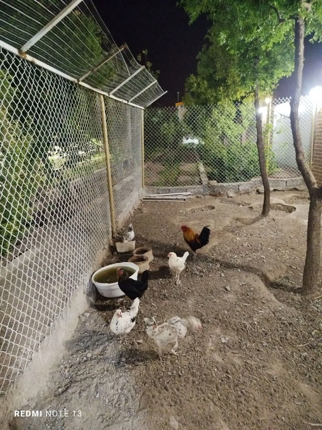 تصویر 7