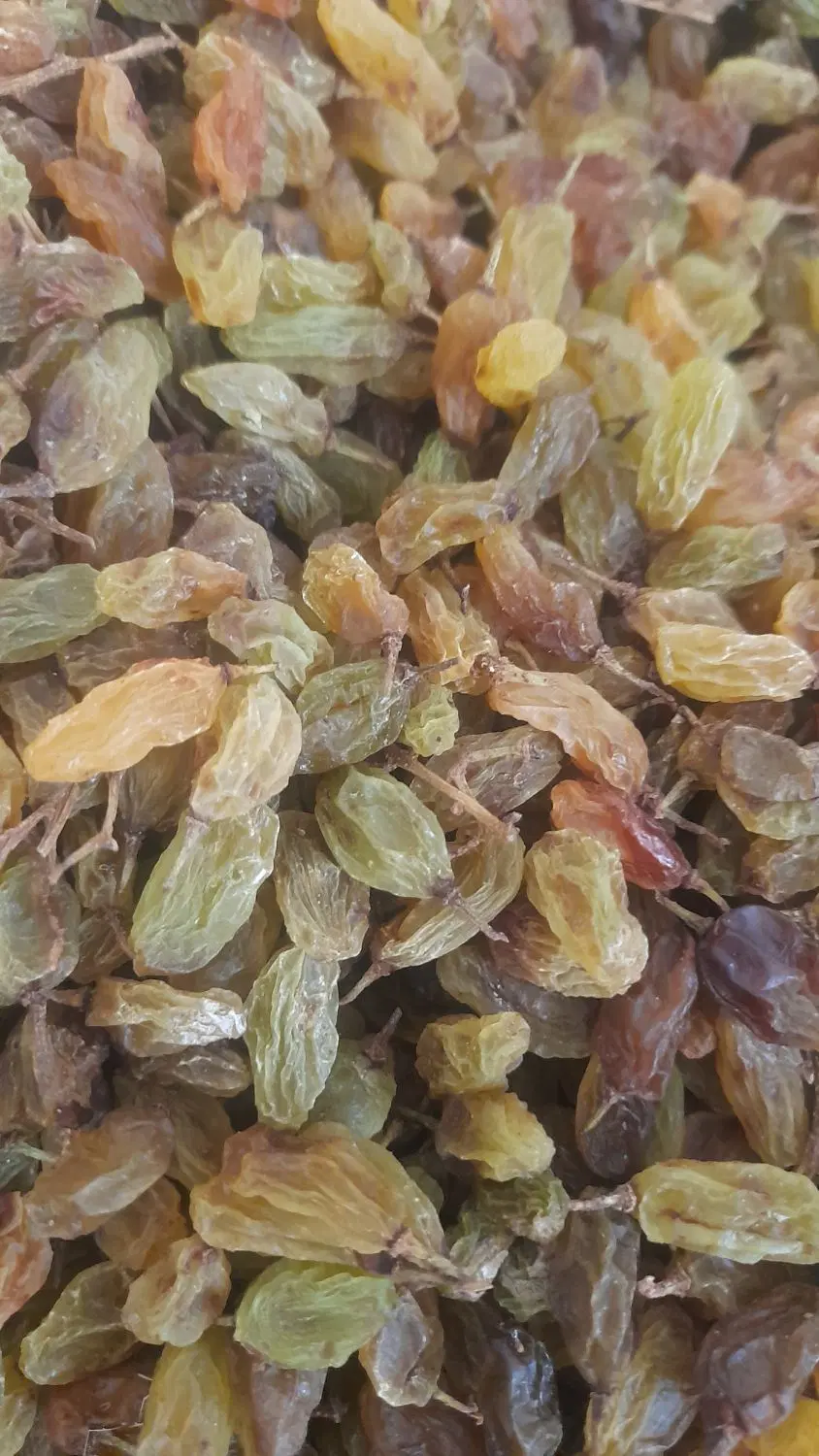 کشمش|خوردنی و آشامیدنی|زبرخان, |دیوار