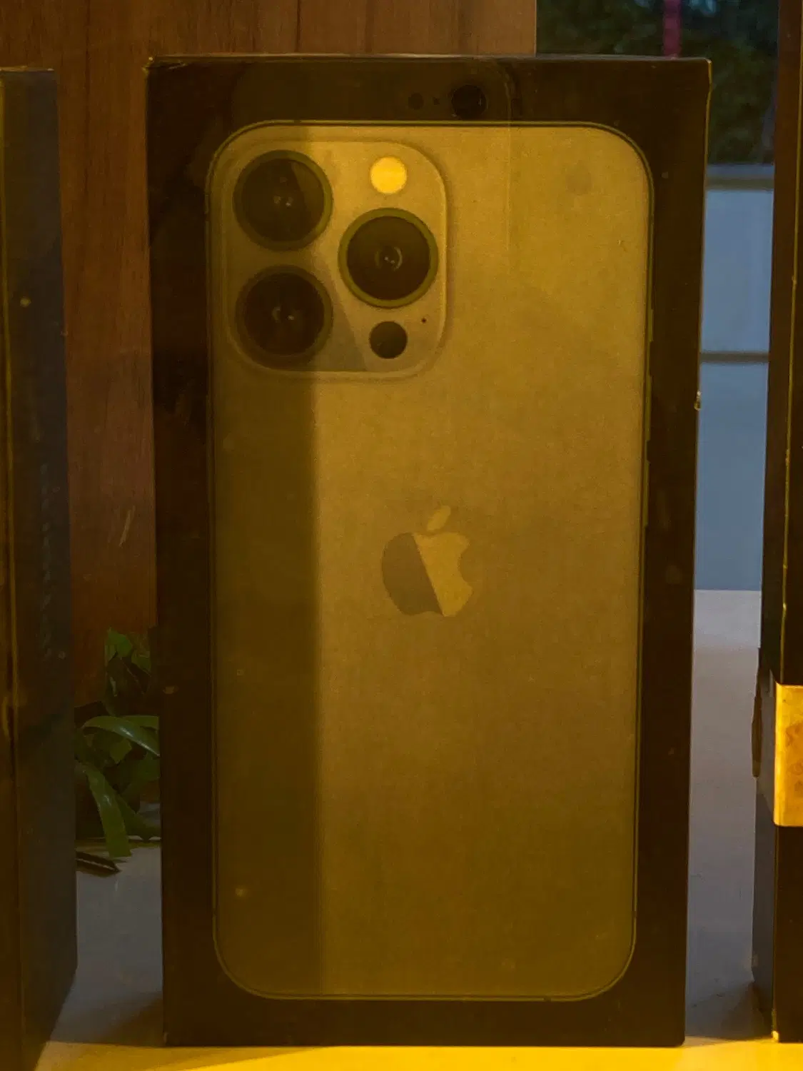 iPhone 13 Pro 256g|موبایل|کرج, خرمدشت|دیوار