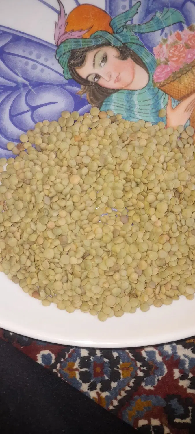 عدس|خوردنی و آشامیدنی|پارس‌آباد, |دیوار