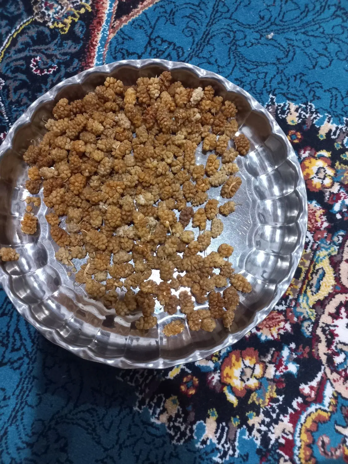 توت|خوردنی و آشامیدنی|اورامان, |دیوار