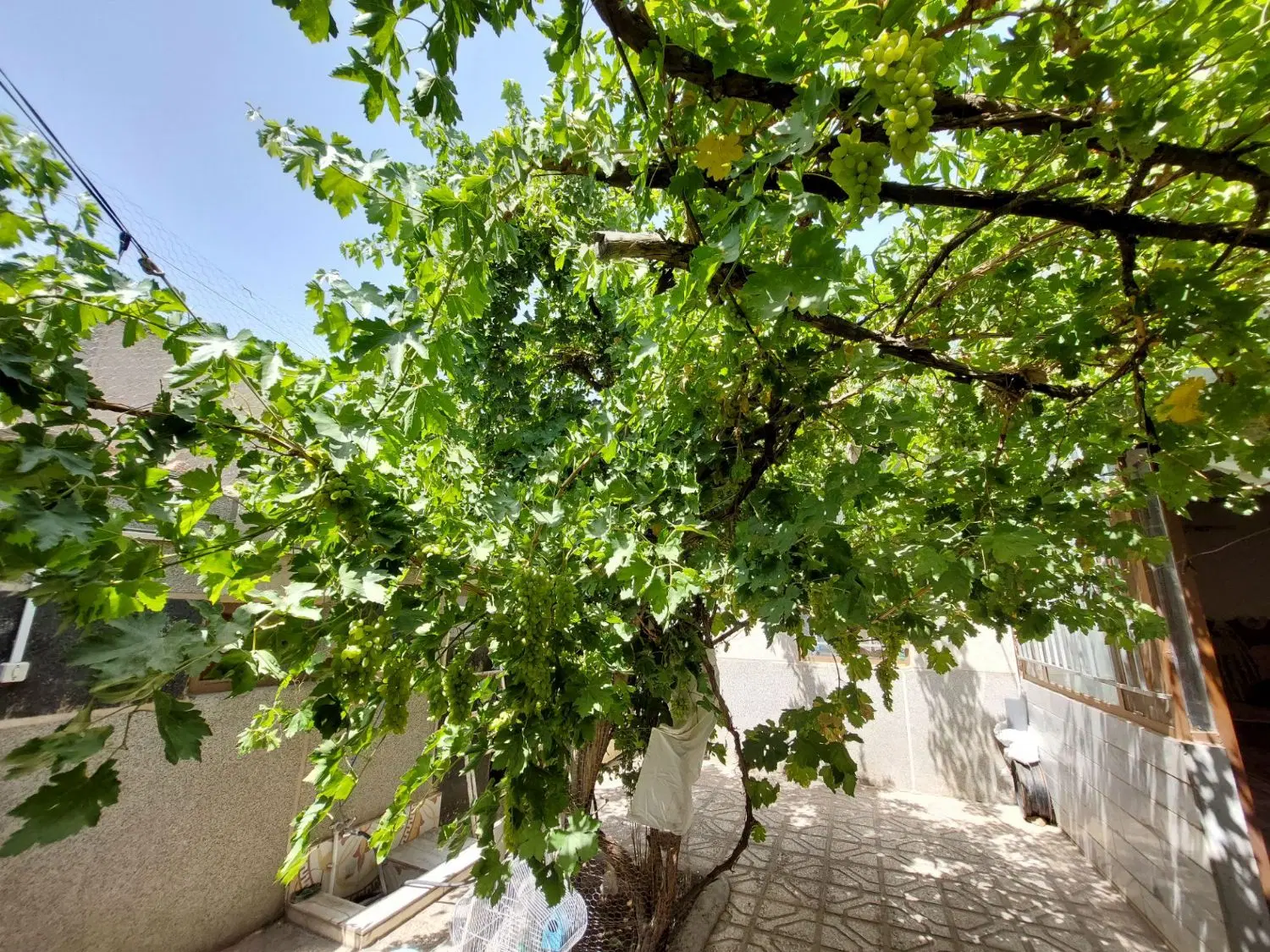 تصویر 2