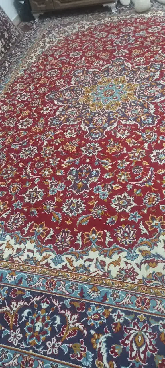 موکت فرش|فرش|طبس, |دیوار