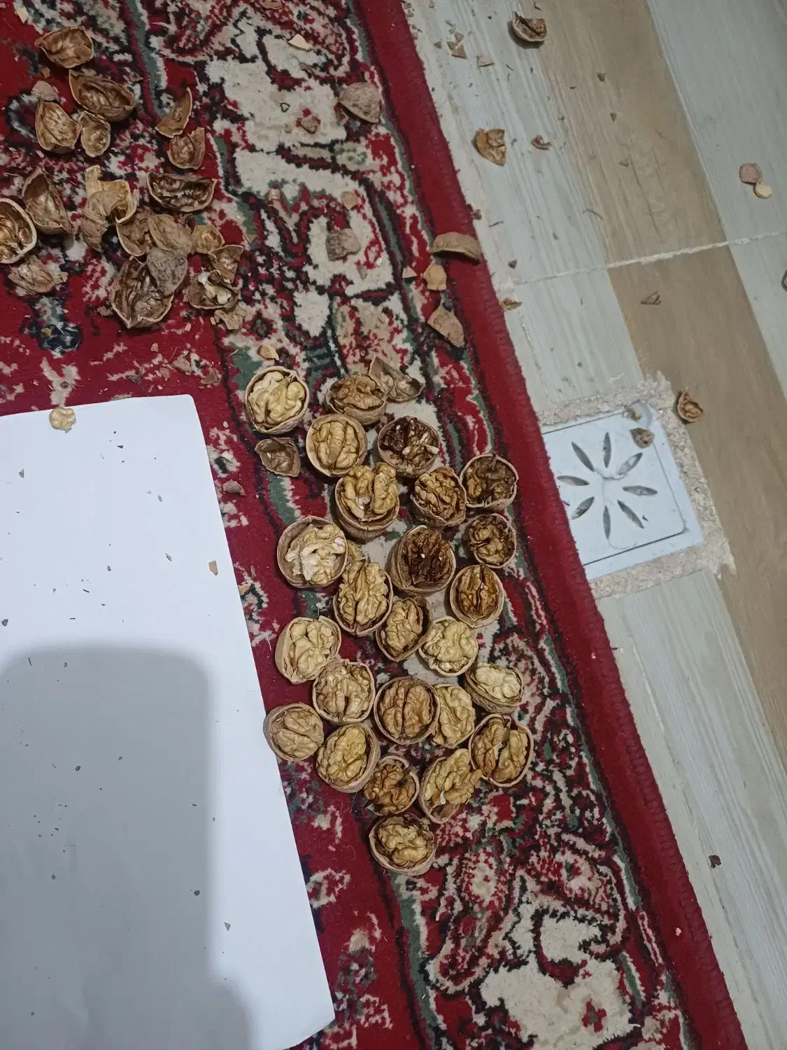 گردو|عمدهفروشی|آذرشهر, |دیوار