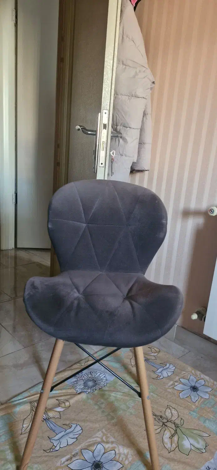 صندلی|صندلی و نیمکت|رشت, رودبارتان|دیوار