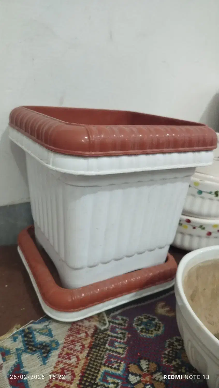 گلدان|گل و گیاه طبیعی|قم, باغ شریفی|دیوار