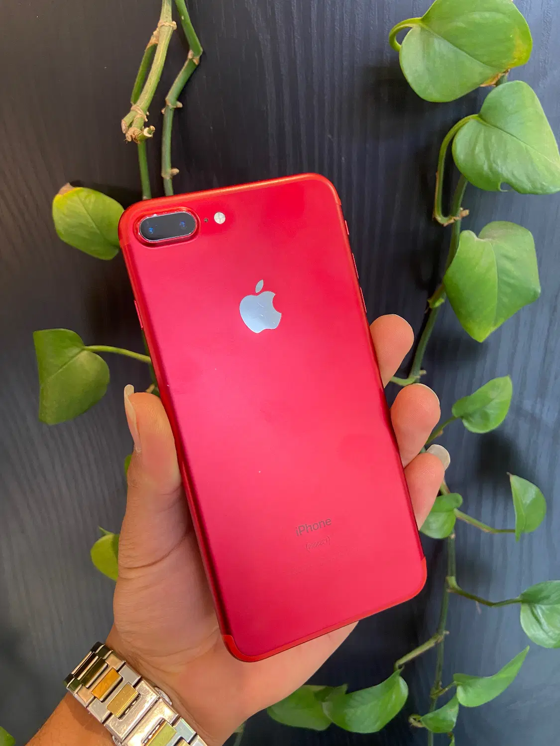 آیفون 7plus|موبایل|بابل, |دیوار