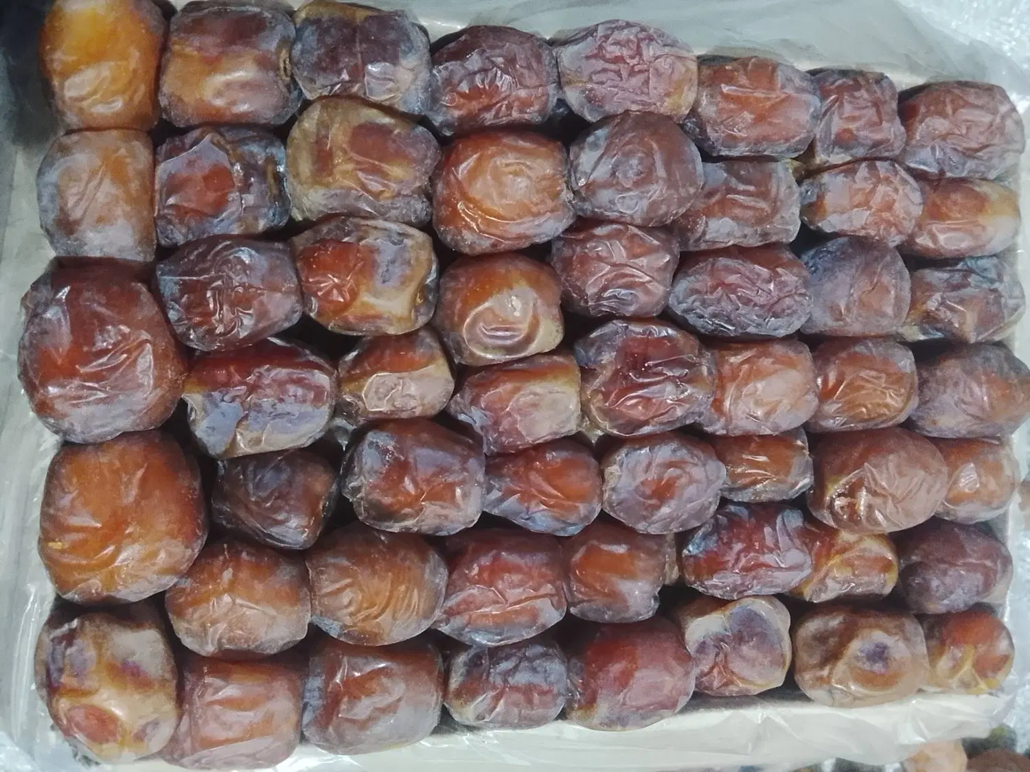 خرما|عمده‌فروشی|عنبرآباد, |دیوار