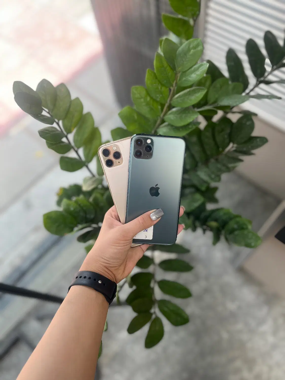 ip 11 pro max|موبایل|قم, جهان بینی|دیوار