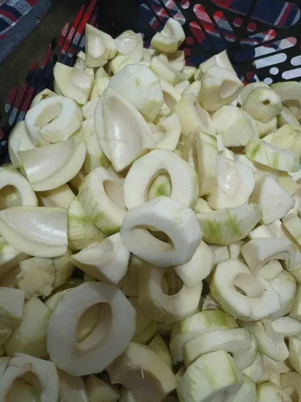 انبه‌|گل و گیاه طبیعی|رودان, |دیوار