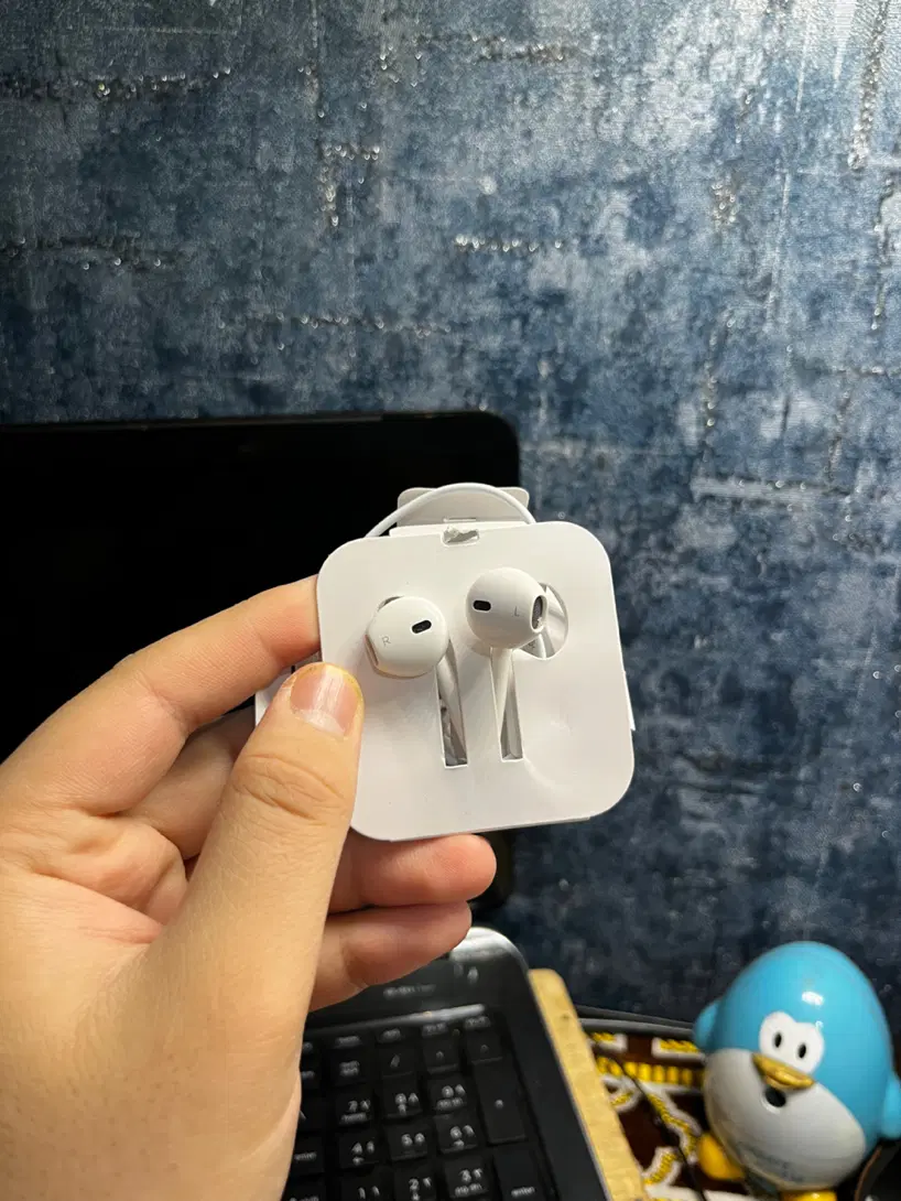 EarPods lightning|لوازم جانبی موبایل و تبلت|شیراز, کوی زهرا|دیوار