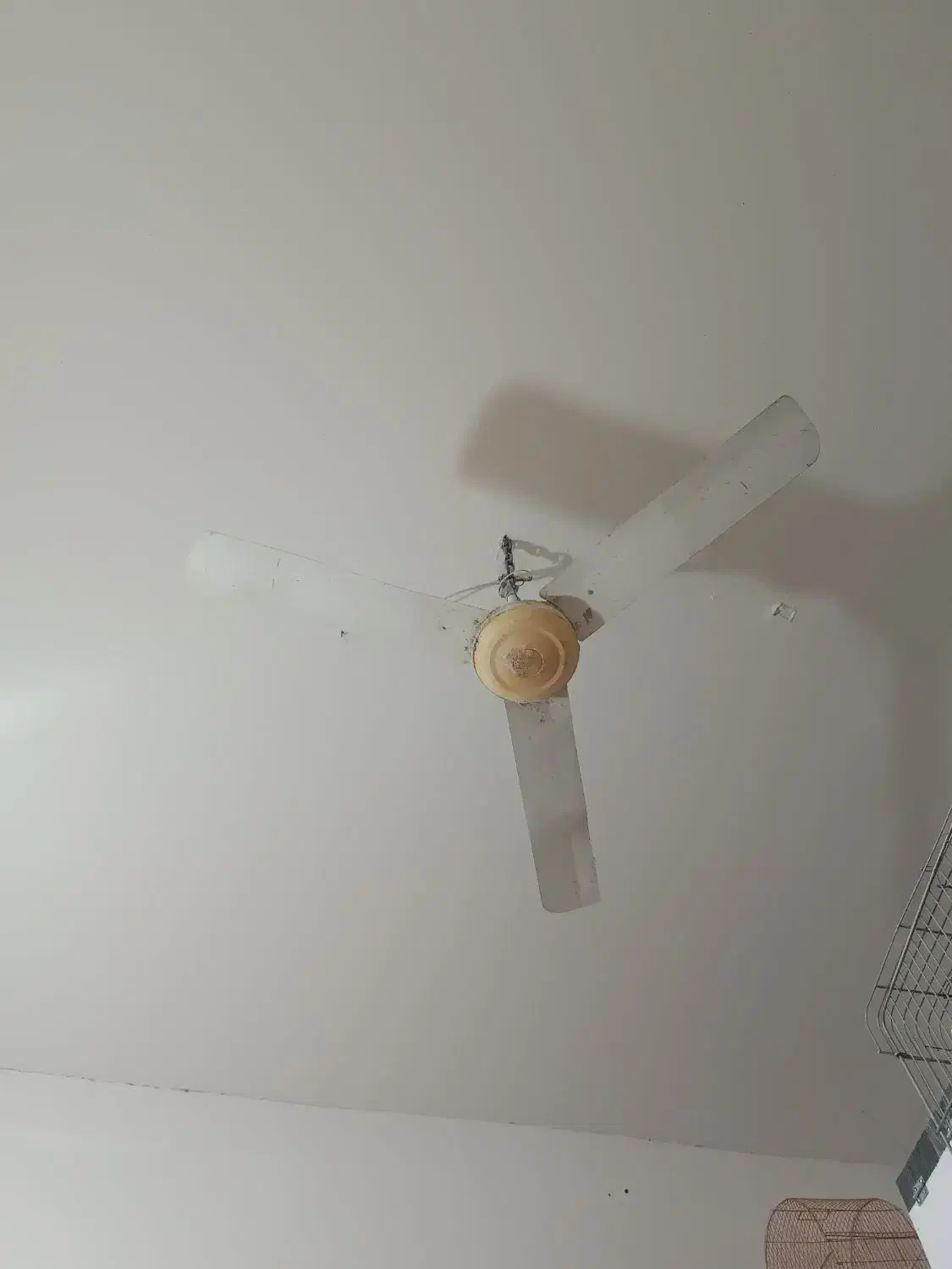 پنجکه|پنکه و تصفیه‌کنندهٔ هوا|قرچک, داوود آباد|دیوار