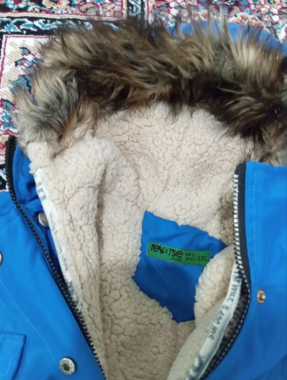 کت نو|لباس|کلاترزان, |دیوار