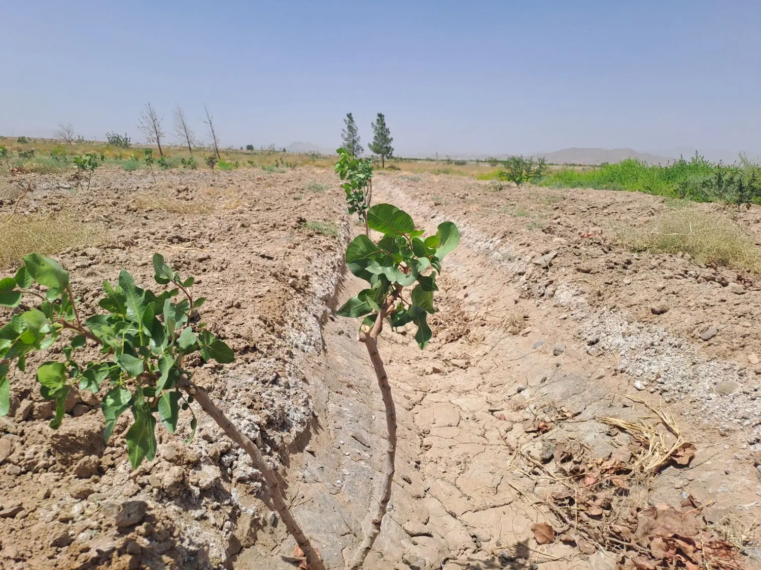 تصویر 8